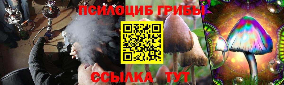 Галлюциногенные грибы мухоморы  Вход с VPN  Галлюциногенные грибы прущие грибы  Тамбов 